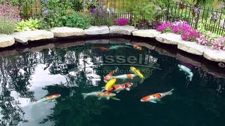 How to Build a Bubbleless Koi Pond Time Lapse in slideshow format [upl. by Ilatfen]