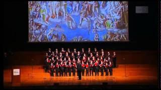 CAPPELLA MUSICALE PONTIFICIA SISTINA  TORINO 2014 [upl. by Knah122]