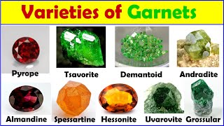 Varieties of garnets gemstones Pyrope Almandine Spessartine Demantoid Tsavorite [upl. by Sucramej968]