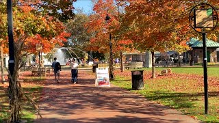 Franklin Square PATCO High Speedline Station  Autumn Leaves  Fall  Chinatown  Sat 10282023 [upl. by Onitnas833]