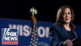 Enthusiasm for Kamala Harris is ‘not going to mean much’ come November GOP lawmaker [upl. by Nysa370]