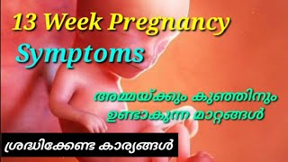 13 weeks pregnancy malayalam [upl. by Prud]