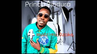 PRINCO BINDURA  MUDZIMU DZOKA [upl. by Nyrek]