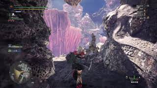 【MHW】珊瑚台地採礦路線：8礦點3分鐘IB 淵水晶 地點 [upl. by Leiruh944]