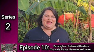 S2 E10 Freyas Tropical Garden Birmingham Botanical Gardens Yvonnes Plants Bananas and more [upl. by Meece]