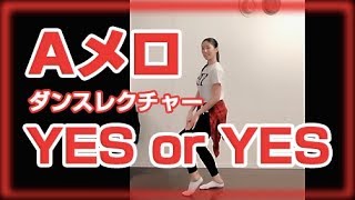 TWICE YES or YES Aメロダンス振り付けレクチャー 反転 ゆっくり dance tutorial mirror slow [upl. by Barthol]