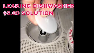 ✨ Leaking Dishwasher  500 Solution  Replace the Seal ✨ [upl. by Rosemaria]