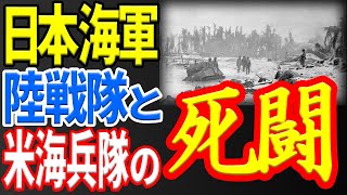 【タラワの戦い】米海兵隊がトラウマに！一体、何があったのか！？恐怖のタラワといわれる所以とは？ 《日本の火力》 [upl. by Lynea982]