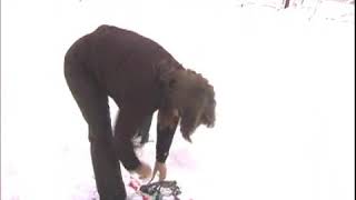 How to Put on Snowshoes [upl. by Trebmer]