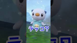 【ポケモンsv】ラッコの侍 shorts [upl. by Adohr]