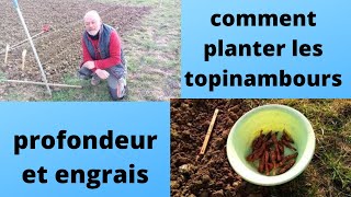 comment planter les topinambours et heliantis [upl. by Conte]