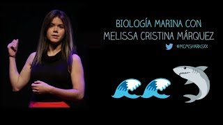 Biología marina EN DIRECTO con Melissa Cristina Márquez 🦈 [upl. by Kerad463]