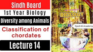 classification of chordates Diversity among animals class 11 biology Sindh text book board new book [upl. by Nwahsyt489]