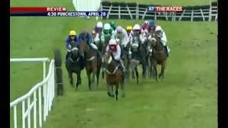 Punchestown FourYearOld Champion Hurdle 2012 [upl. by Stanway]