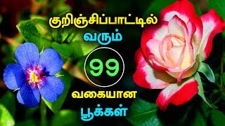 Collection of 99 Tamil Flowers Described in Kurunjipaatu [upl. by Onateyac]