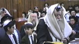 The Lubavitcher Rebbe Shacharit at 770  Rare Film  First time on web [upl. by Duer]