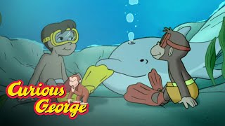 Swimming With the Dolphins 🐵Curious George 🐵Kids Cartoon🐵Kids Movies🐵Videos for Kids [upl. by Eintihw507]