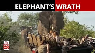 South Africa An Elephant Attacked EcoStudents In The Kruger National Park  NewsMo [upl. by Siclari795]