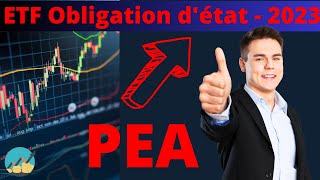 Quel ETF Obligations dEtats pour ton PEA 🤔   24 [upl. by Nirehtak789]