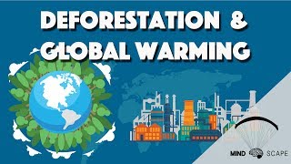 Importance of trees  Deforestation Explained [upl. by Antoinetta]