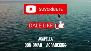 6 Don Omar  Agradecido Acapella [upl. by Mary226]