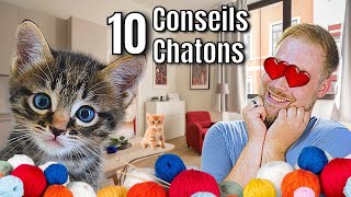 10 CONSEILS avant dadopter son CHATON  🐈  ANI MOOD [upl. by Selene]