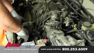 How to Install a Water Pump  Ford 30L V6 WP9035 AW4091 [upl. by Josselyn]