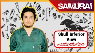 ANATOMY Skull Inferior View مطالعه کرانیوم از منظره سفلی [upl. by Rosenblatt]