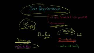 Sole Proprietorships  Advantages and Disadvantages [upl. by Romaine]