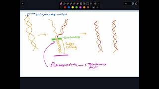 Ch40 Fluoroquinolones part I [upl. by Htebsle]