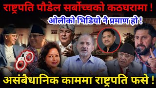 🔴 Exclusive राष्ट्रपति सर्बोच्चको कठघरामा  ओलीको भिडियो राष्ट्रपतिलाई पनि गलपासो Nimkant Pandey [upl. by Amelus]