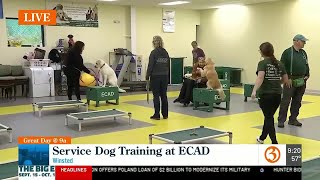 Service Dog training at ECAD [upl. by Rennug190]