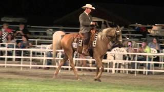 Missouri Fox Trotter AVA 2014 Class Amateur Restr 4 [upl. by Yeo759]