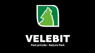 Promo video  Park prirode Velebit [upl. by Lizned389]