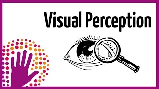 Visual Perception – How It Works [upl. by Auqenes]