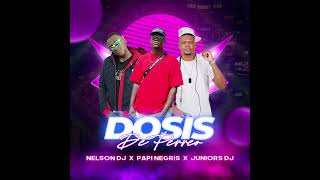 DOSIS DE PERREO  PAPI NEGRIS  NELSON DJ  JUNIOR DJ [upl. by Ennaeel598]