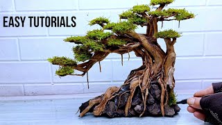 How to Make Driftwood Bonsai Tree for Aquarium  Fish Tank Decoration  Not Hard but Easy [upl. by Auhsohey]