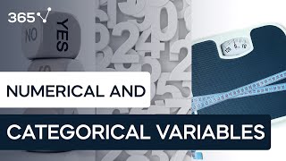 Types of Data Categorical vs Numerical Data [upl. by Nevanod]