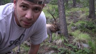 S7 E3 DIY Public Land Montana Hunts for Elk Mule Deer and Antelope with Boyd Burnett of SOLO HNTR [upl. by Yttocs543]