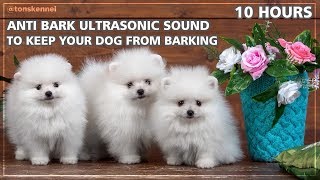 10 Hours Ultrasonic Sound To Stop Your Dog From Barking  Anti Bark Control [upl. by Assert]