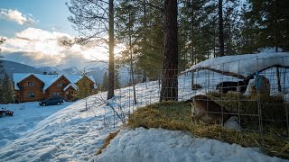 Montana Haven Log Home And Mountain Homestead Tour [upl. by Janene835]