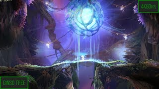 Ori and the Will of the Wisps Walkthrough  Willows End Part 19 [upl. by Ern]