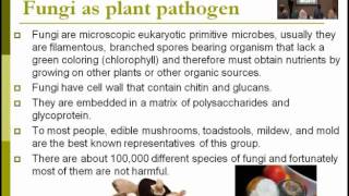 Lecture 2  Plant disease diagnosis Disease development and life cycles Dr Rana Samara [upl. by Eisdnil]