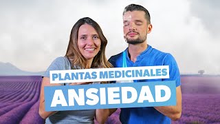 Cómo controlar la ansiedad con plantas naturales [upl. by Drawdesemaj906]