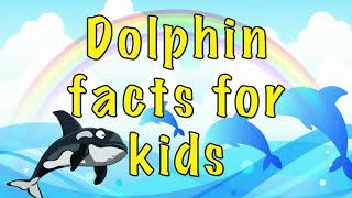 Dolphin facts for kids [upl. by Nojad]