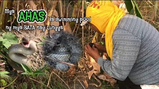 MGA AHAS SA SWIMMING POOL NG MGA BATA  Zuma Haring Ahas [upl. by Dnomse]