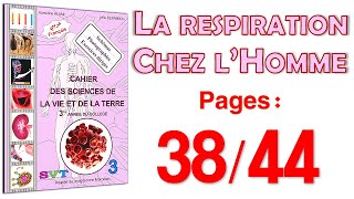 Azzedine Alami 3APIC SVT Page 3844 😊 la respiration chez lHomme [upl. by Linzy]