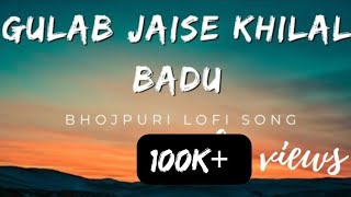 Gulab jaise khilal badu lofi version ।। Heroine ।। WHO DESERVS।। neelkamalsingh। slowedReverb [upl. by Krid]