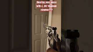 Clearing your house with a 357 Magnum revolver [upl. by Leake]