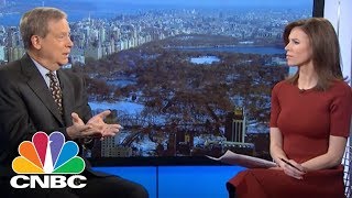 Legendary Investor Stanley Druckenmiller On The Stock Market Tax Reform And His Stock Picks  CNBC [upl. by Evol]